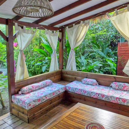 فيلا Le Parc Aux Orchidees بوانت-نوار المظهر الخارجي الصورة